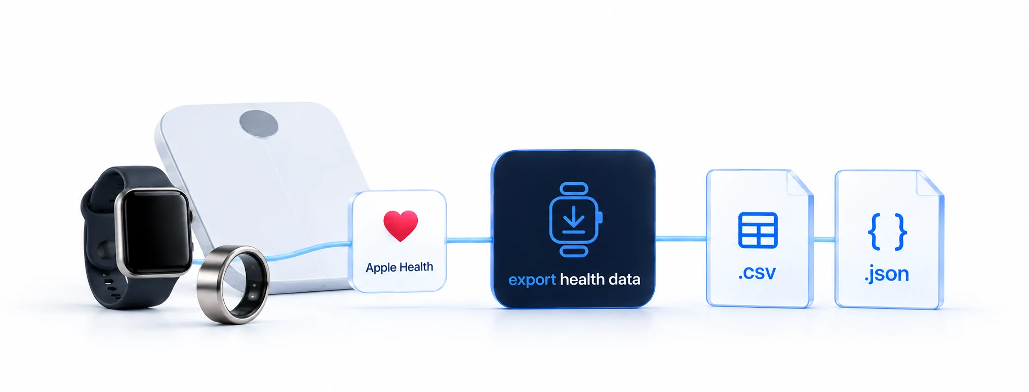 A watch, ring and scale share data through Apple Health. Export Health Data turns it into CSV and JSON files for your tools.